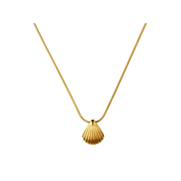 Shell Necklace
