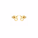 Zodiac Earrings Studs